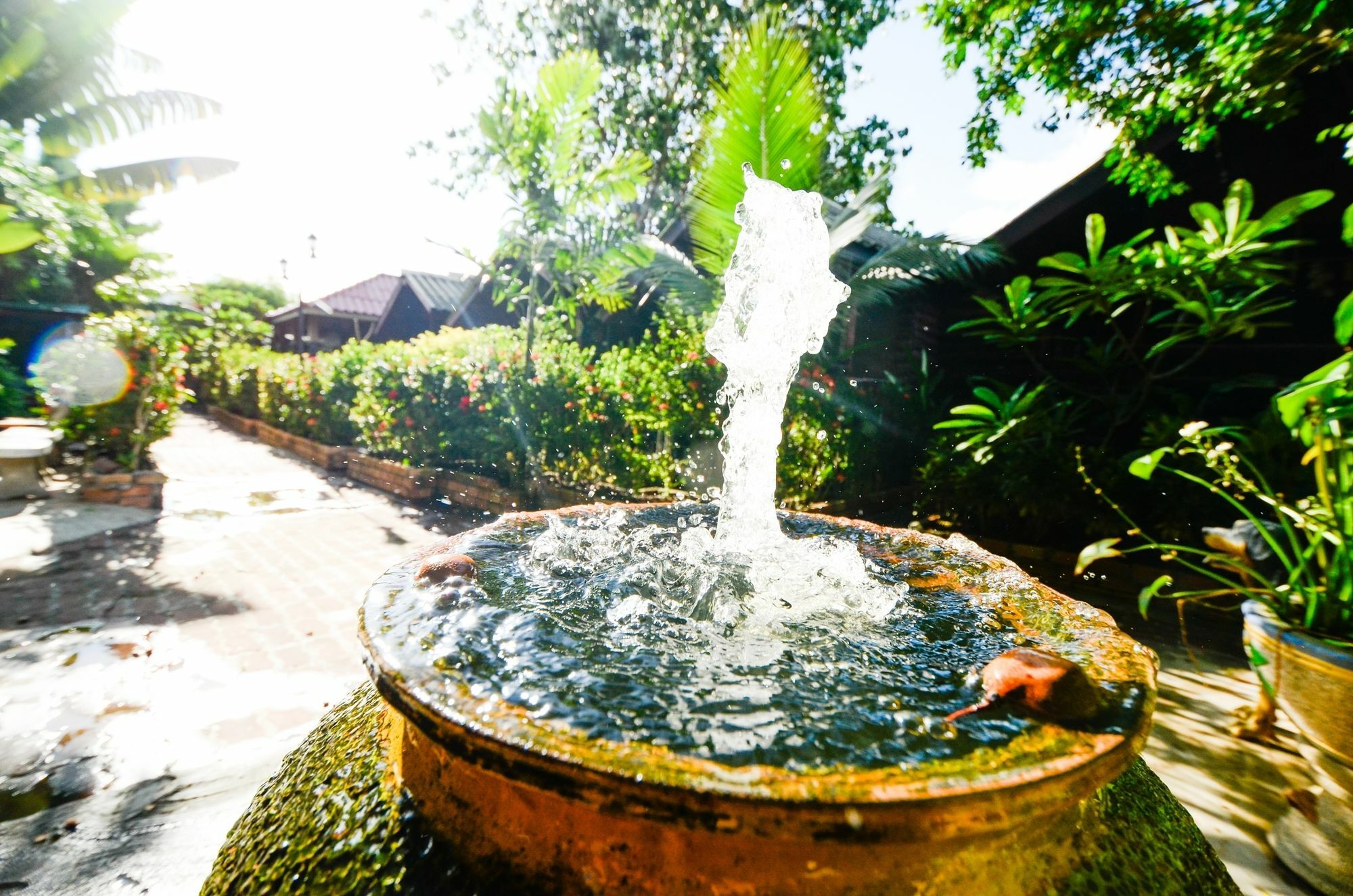شاطئ تشاوينغ Nid'S Bungalows المظهر الخارجي الصورة